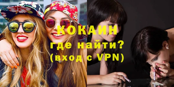 шишки Вязьма